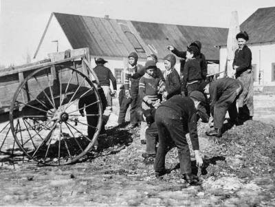 Photograph of school boys loading dirt on to a cart
