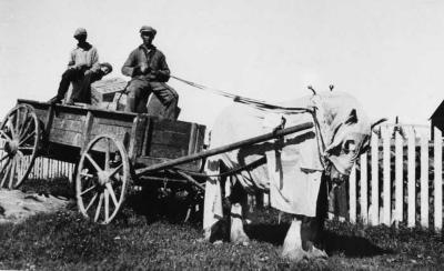 Photograph of the school horse and wagon