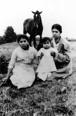 Photograph of two women and an infant in front of a horse