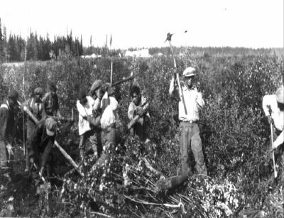 Photograph of boys working in a field