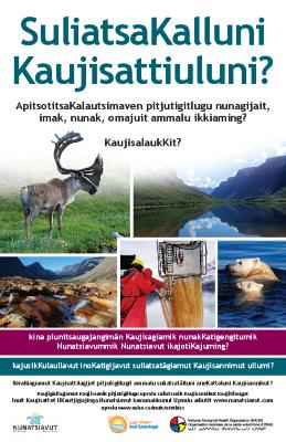 Researcher career poster