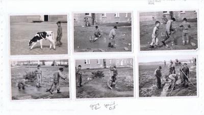 Photographs of boys activites and boys doing farm work