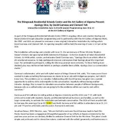 Apology Dice press release