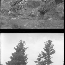 Various negatives