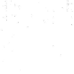 Report of the Anglican Church