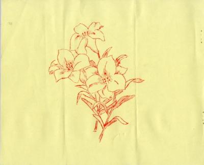 Grey Nuns of Montreal collection