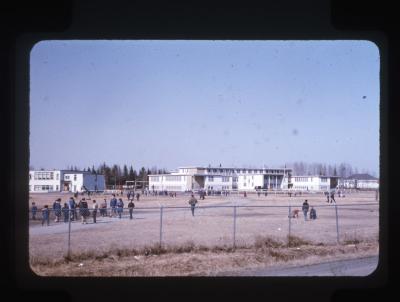 Joy (Goss) Scheifele collection