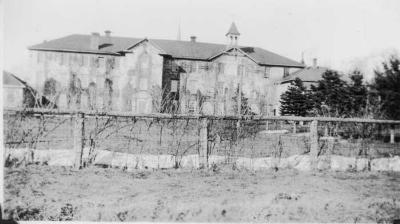 Dorothy Lye Bowers collection