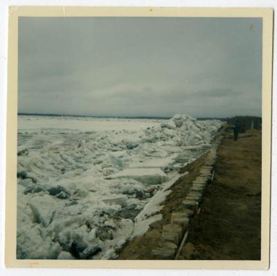 Adrian Stimson collection