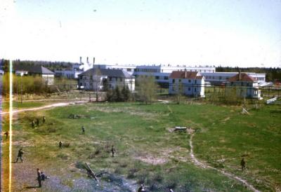 Ivy Hepton collection