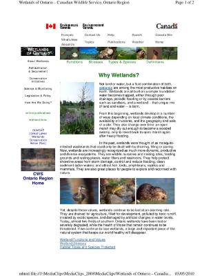 Why wetlands?